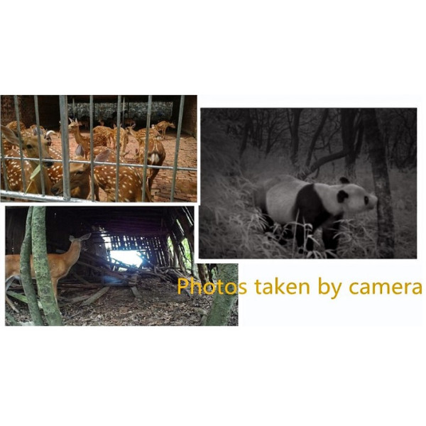 Фотопастка Suntek HC 550M/G з дальністю 25 м, кутом огляду 120°, датчиком руху, GSM модулем 3G, нічною зйомкою та можливістю запису фото і відео.