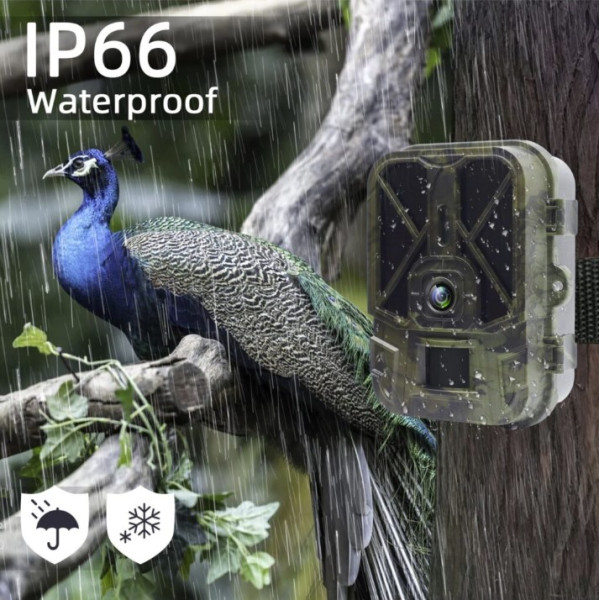 Фотопастка Suntek HC 940A — зйомка в 4K (50Mp), фото та відео.