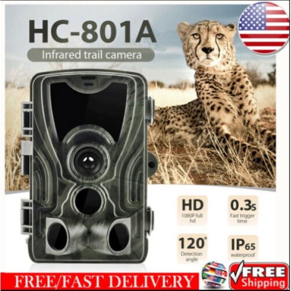 Фотоловушка Suntek HC 801A з дальністю 25 м, кутом огляду 120°, датчиком руху та нічною зйомкою, захистом від вологи та пилу IP65.