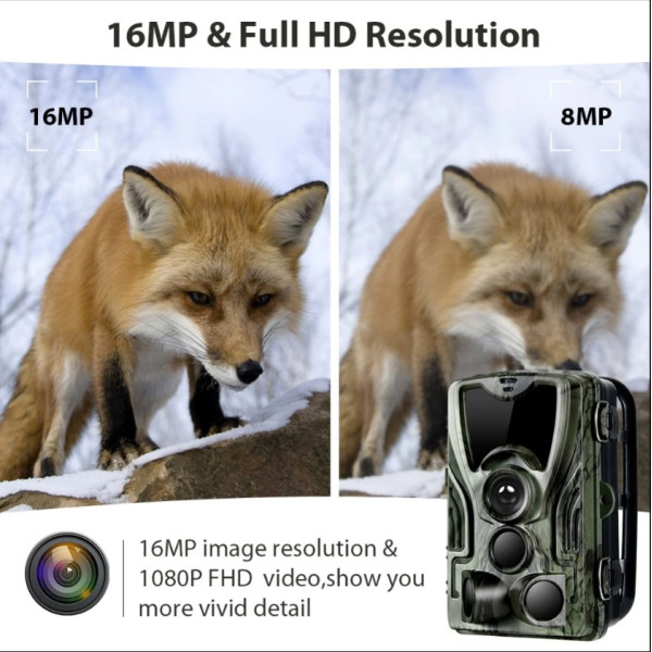 Фотоловушка Suntek HC 801A з дальністю 25 м, кутом огляду 120°, датчиком руху та нічною зйомкою, захистом від вологи та пилу IP65.