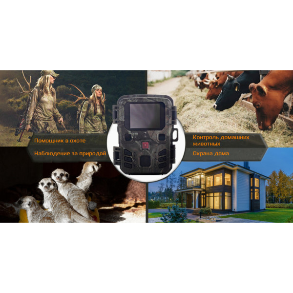 Фотопастка Mini 301: компактність, якісна зйомка, інфрачервоне підсвічування