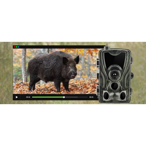 Фотопастка Suntek HC-801LTE-LI з підтримкою LTE для віддаленого моніторингу