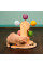 Игрушка для кошек Taotaopet Y0036 игровой центр мельница