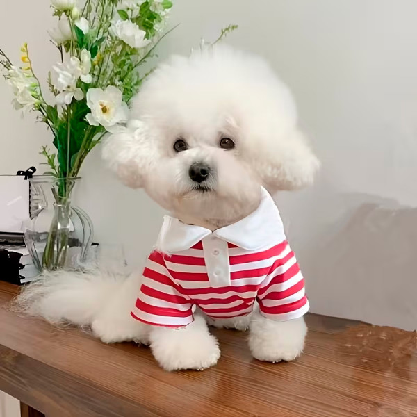 Рубашка поло для собак и кошек 2306CGHY5160 демисезонная  Red M