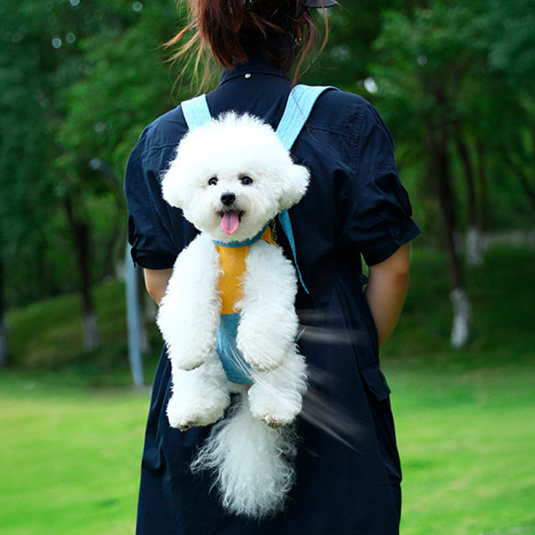 Рюкзак- кенгуру для животных A10010-YR Yellow Blue S