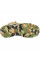 Ботинки тактические C005/666 Camouflage CP 43