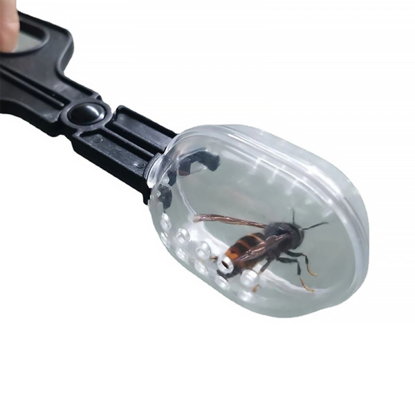 Ловушка QT-001H для захвата пчелиной матки не причиняя ей вреда