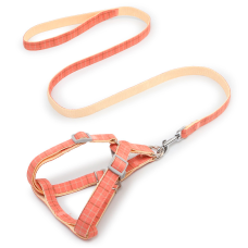 Шлея для собак с поводком Pipitao 165510 Cage Peach 1.5*120 cm