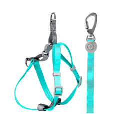 Шлея для собак или кошек с поводком Taotaopets 171120 Green M (1.5 cm)