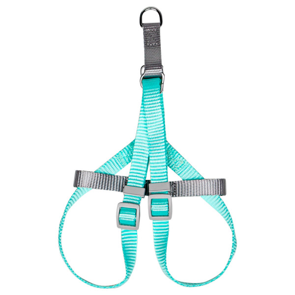 Шлея для собак или кошек с поводком Taotaopets 171120 Green M (1.5 cm)