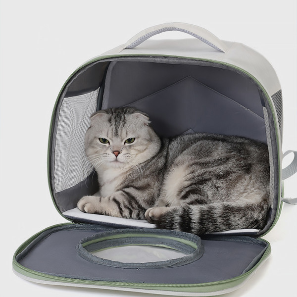Рюкзак-переноска для кошек Taotaopets 241109 Window Green