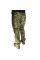 Тактические штаны B603 Camouflage 38