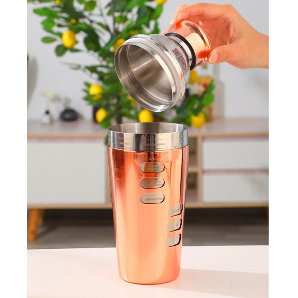 Шейкер для коктейлей FS7263 из нержавеющей стали 600 мл с рецептами Rose Gold